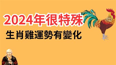 屬雞幸運顏色|雞年開運色：2024年必備指南